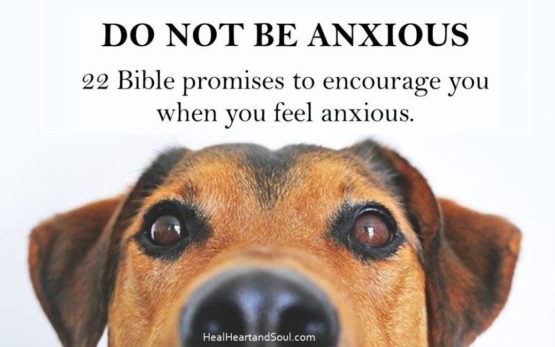 22 Bible verses about Anxiety