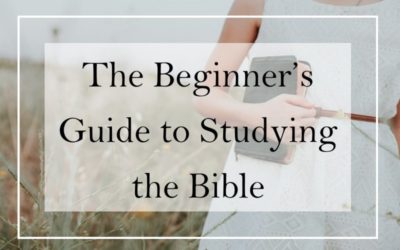 A beginners guide to studying the Bible